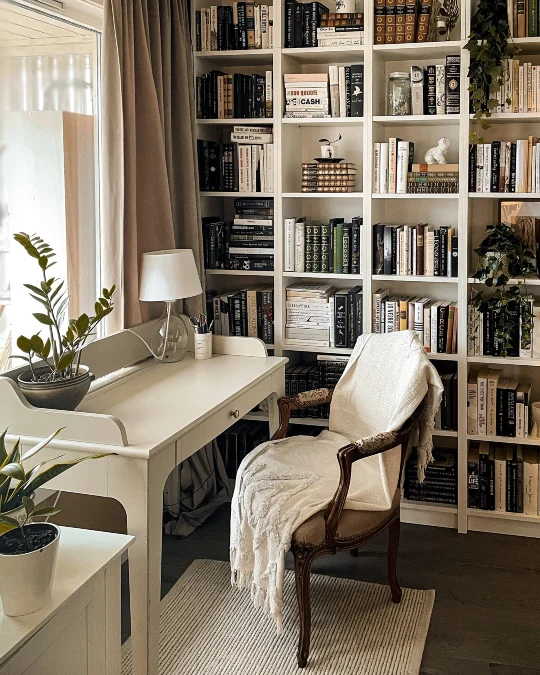 Sunlit Library Nook
