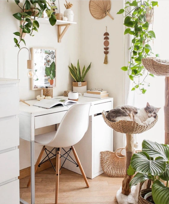 Cat-Friendly Boho Workspace