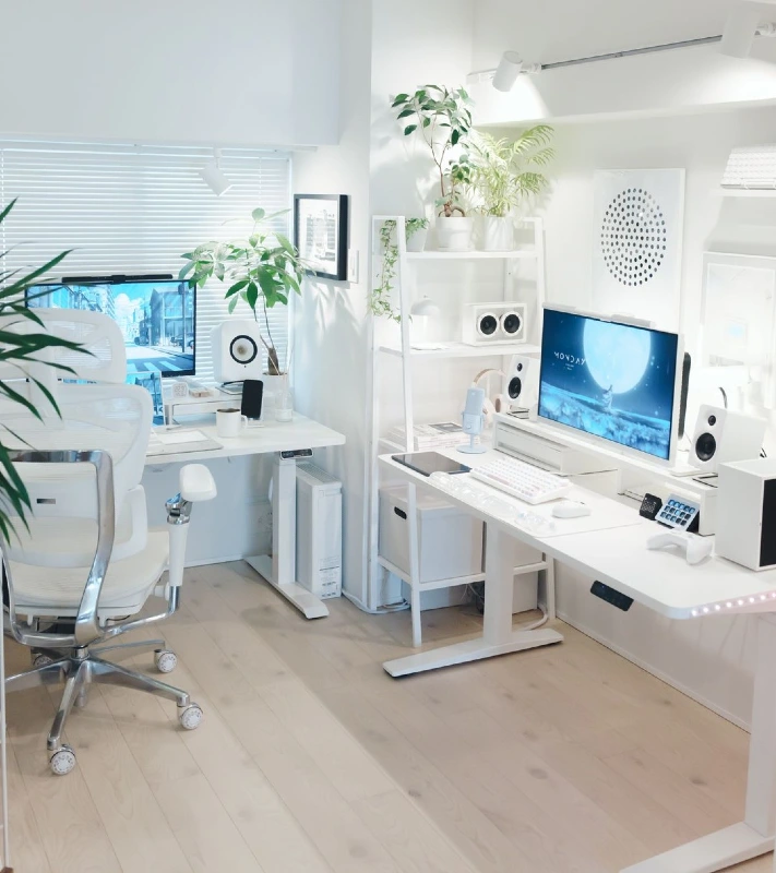 Serene Earth Tones Study