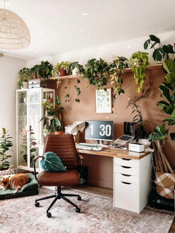Terracotta Accent Wall With Trailing Plants