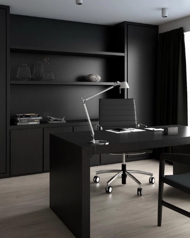 Shadow Toned Executive Minimalist Office