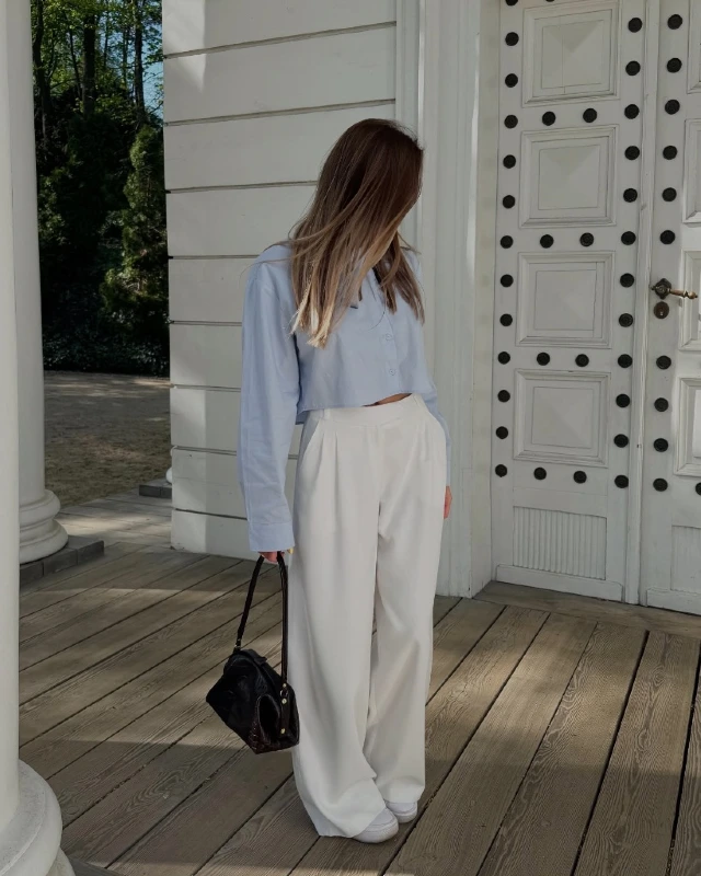 Pleated Wide Leg Trousers and Cropped Shirt